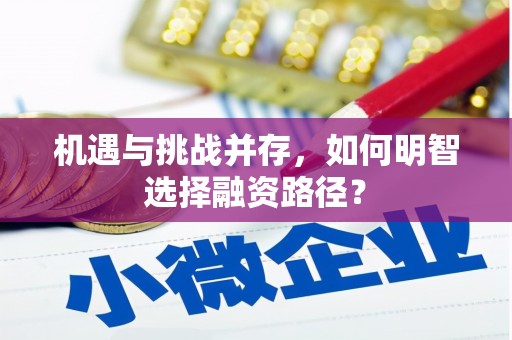 靖边机遇与挑战并存，如何明智选择融资路径？