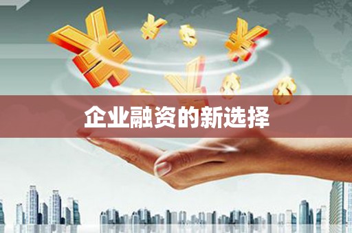 靖边企业融资的新选择