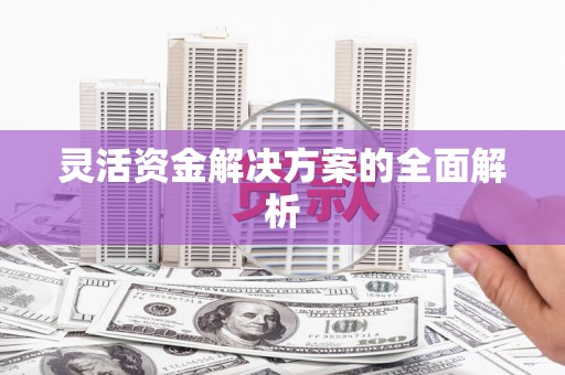 靖边灵活资金解决方案的全面解析