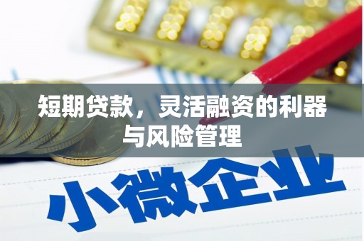靖边短期贷款，灵活融资的利器与风险管理